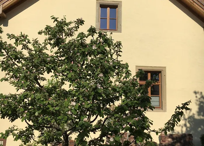 Mitterauerbach - Altes Mesnerhaus Апартаменты Нойнбург-форм-Вальд